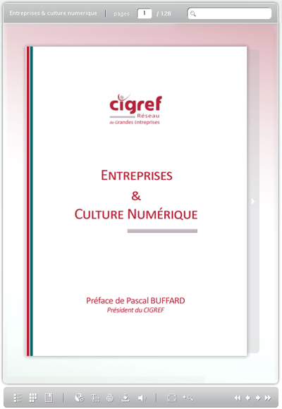 ebook-entreprise-culture-numerique-cigref