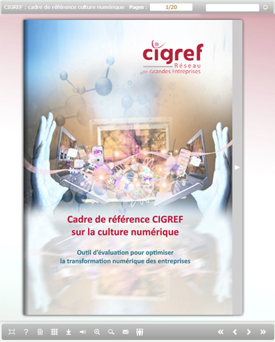 cadre-ref-cigref-culture-numerique