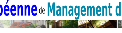Les ateliers de la Chaire Européenne de Management de l’Immatériel