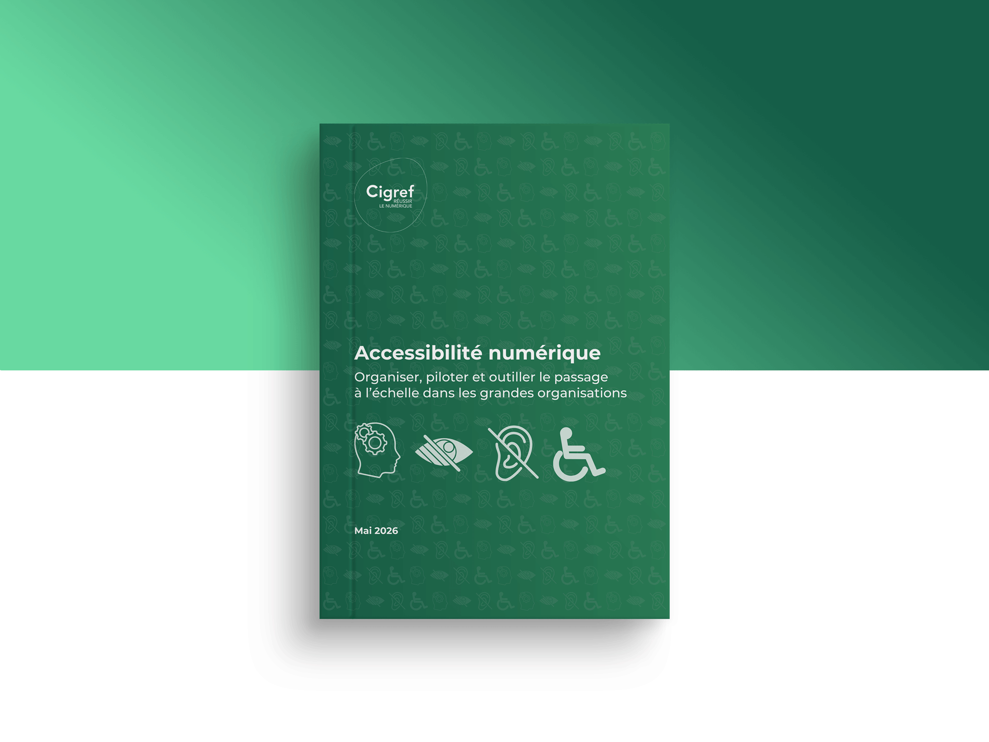 visuel-publication-accessibilité