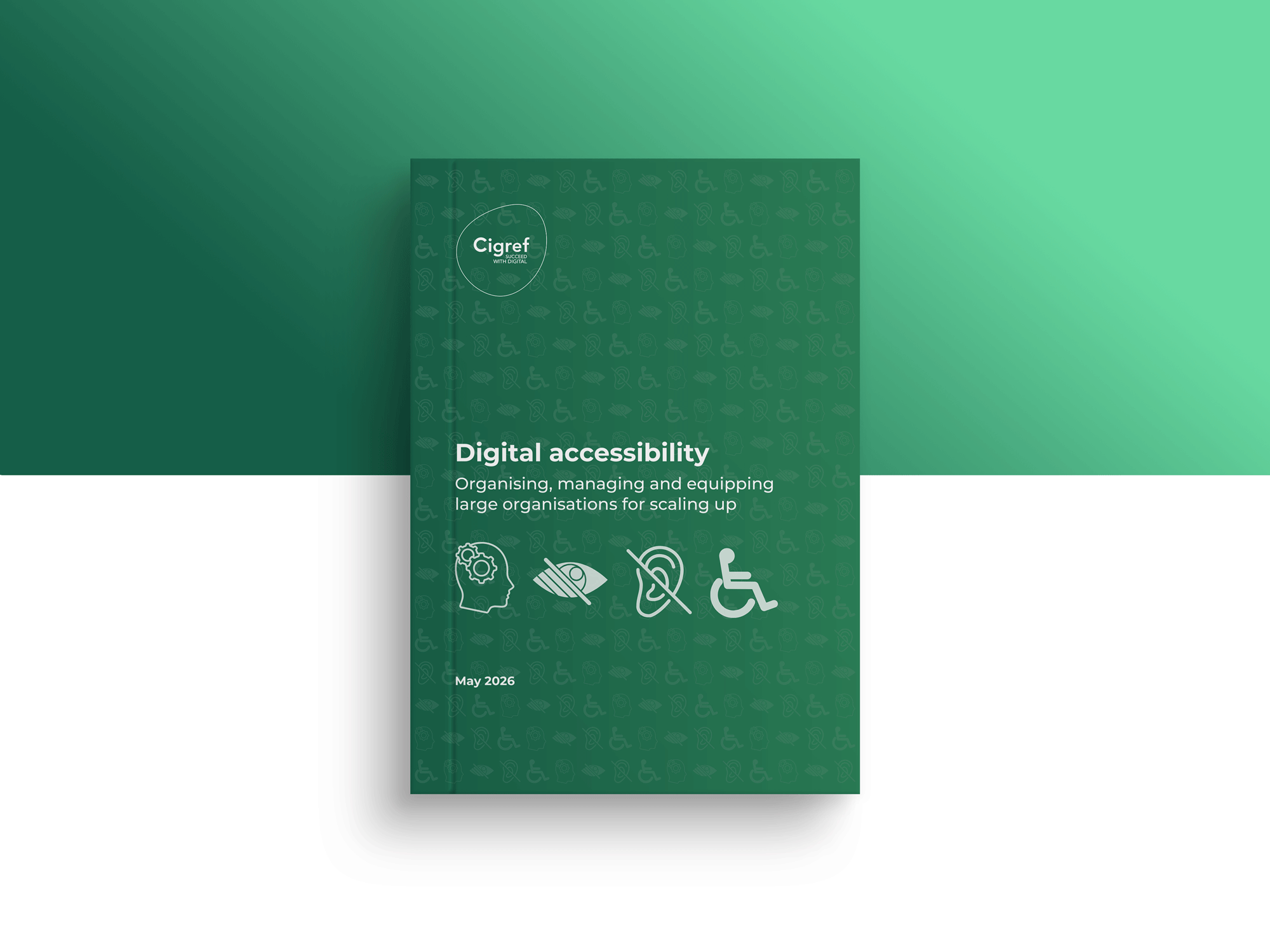 visuel-publication-accessibilité EN